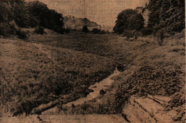 Primrose Lodge in 1966